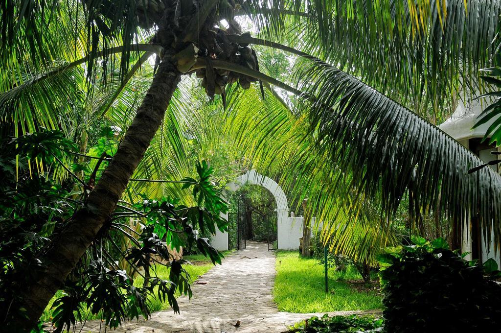 Amarte Maroma Hotel Eco Boutique Spa Punta Maroma Exterior foto